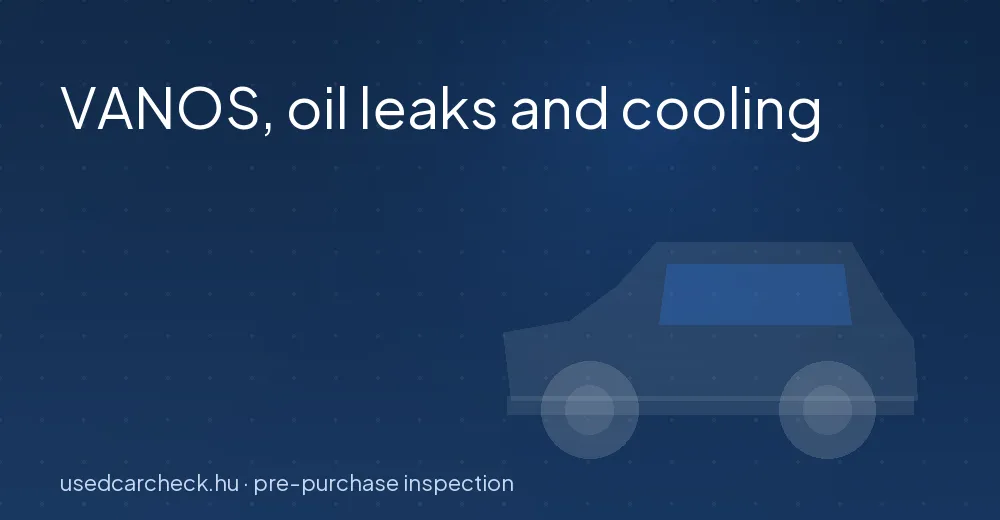 VANOS, oil leaks and cooling